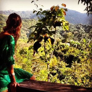 480970_10151195655695723_106011115_n